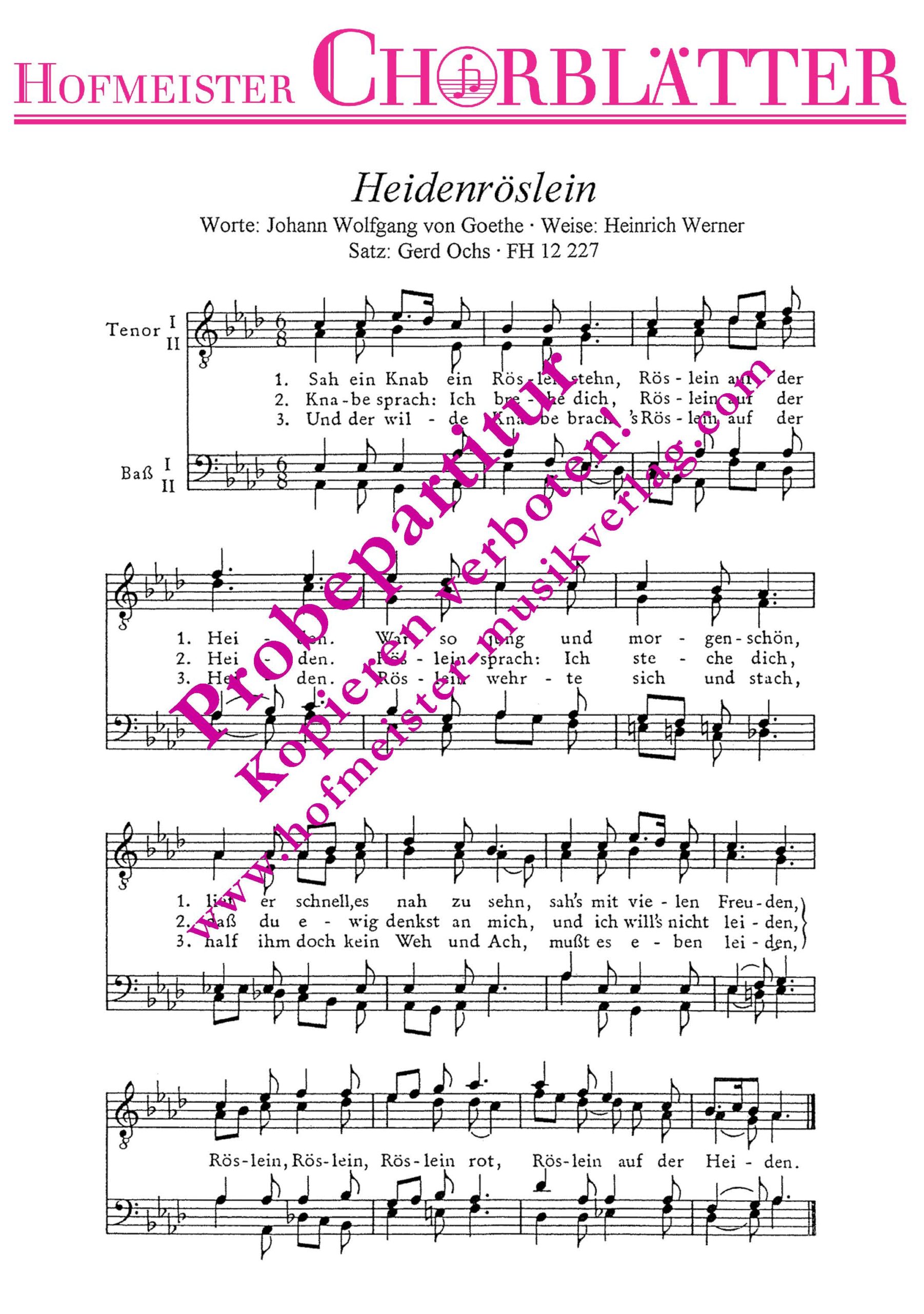 Sah Ein Knab Ein Röslein Stehn Text Bedeutung Heidenröslein (Sah ein Knab ein Röslein stehn) - Hofmeister Musikverlag