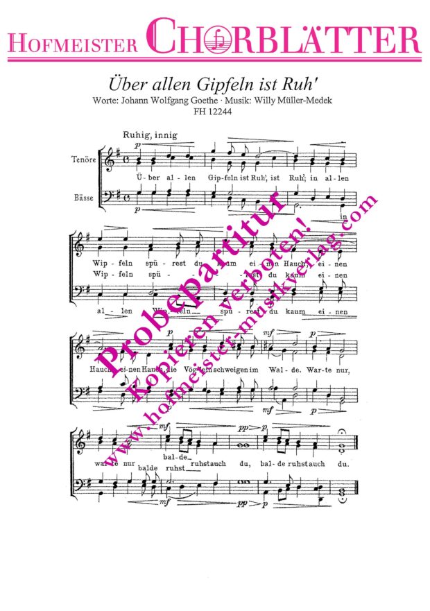 Wanderers Nachtlied (Über allen Gipfeln ist Ruh)