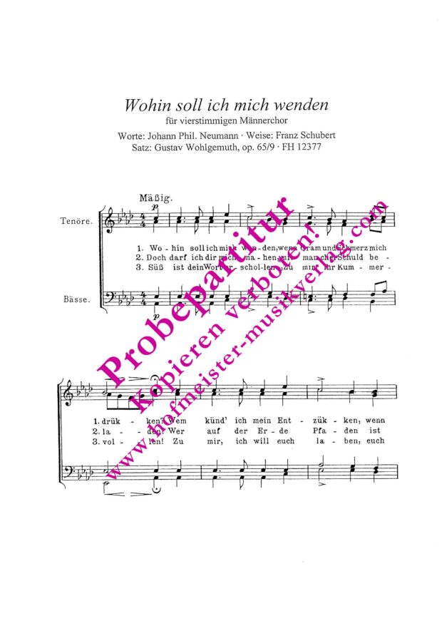 Wohin soll ich mich wenden