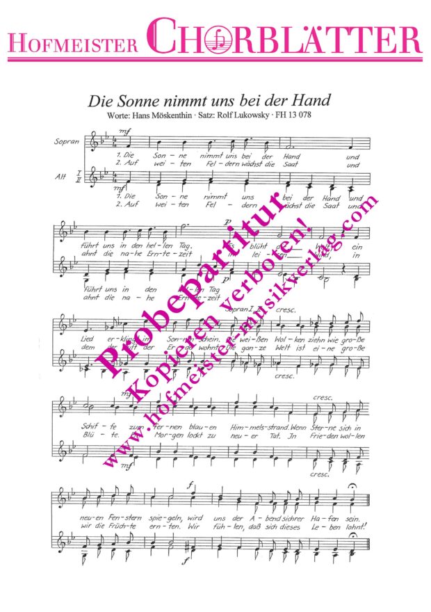 Die Sonne nimmt uns bei der Hand