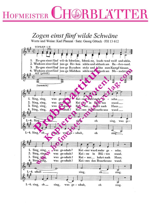 Zogen einst fünf wilde Schwäne