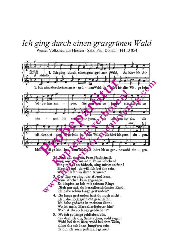 Ich ging durch einen grasgrünen Wald