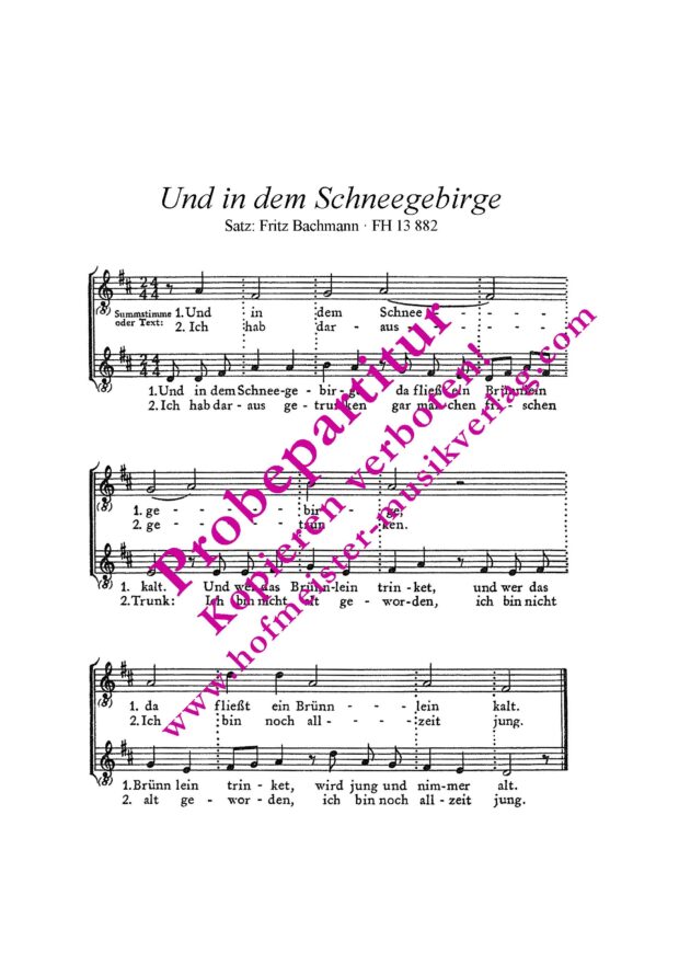 Und in dem Schneegebirge