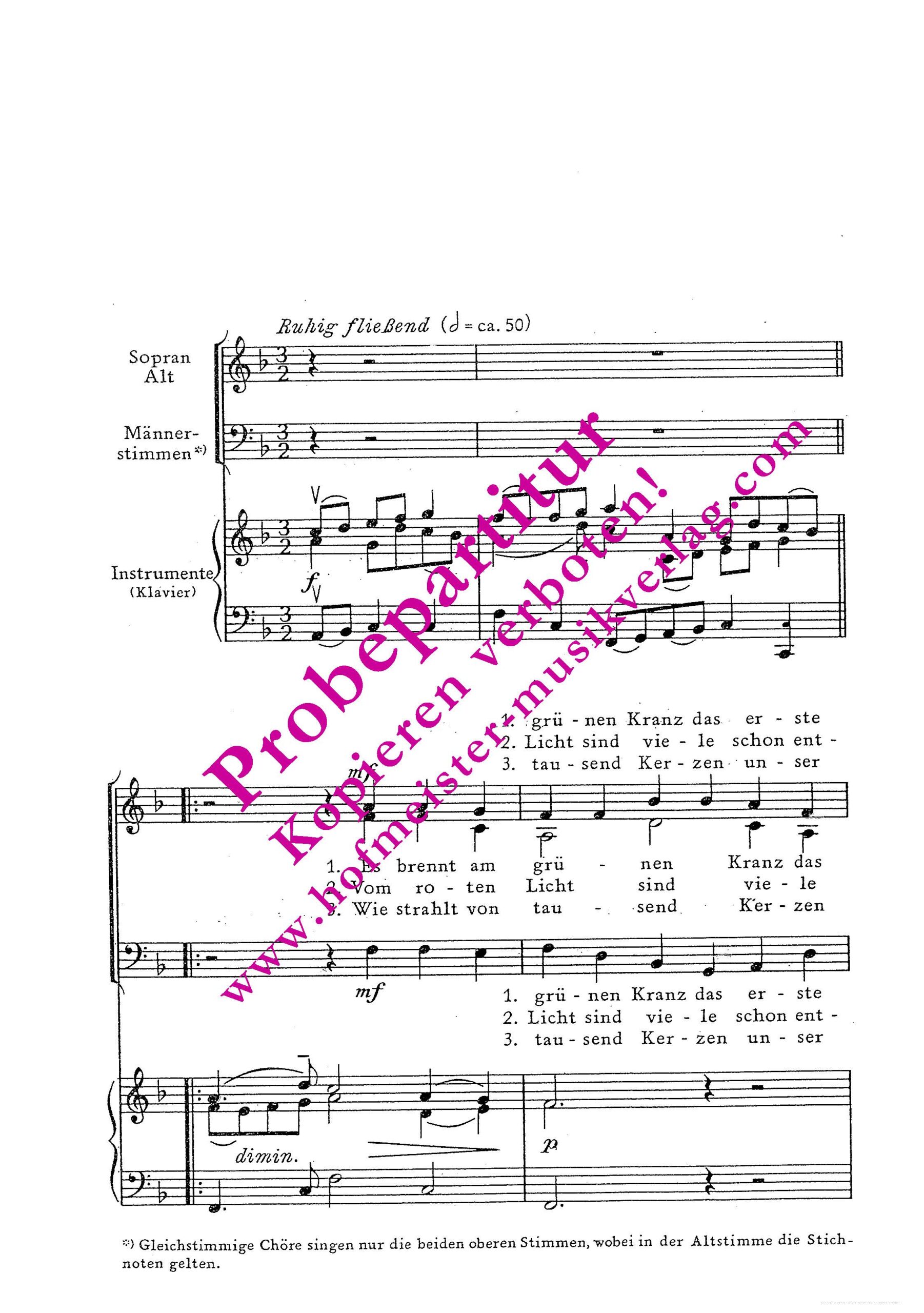 Das Lied vom neuen Licht (Es brennt am grünen Kranz)