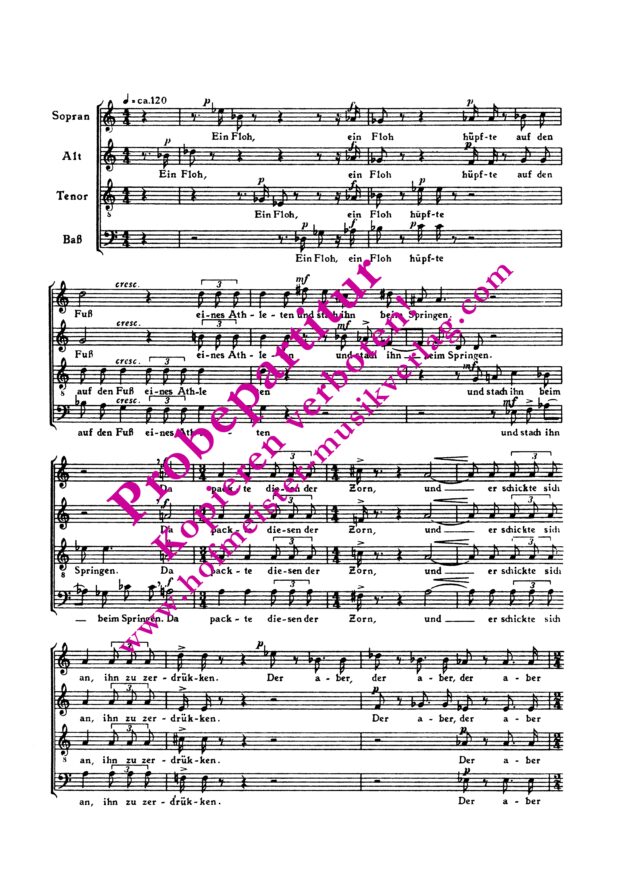 Der Athlet. Überlegener Gegner (Ein Floh, ein Floh)