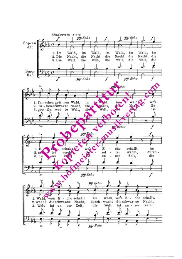 Zigeunerchor (Im Wald, im Wald)