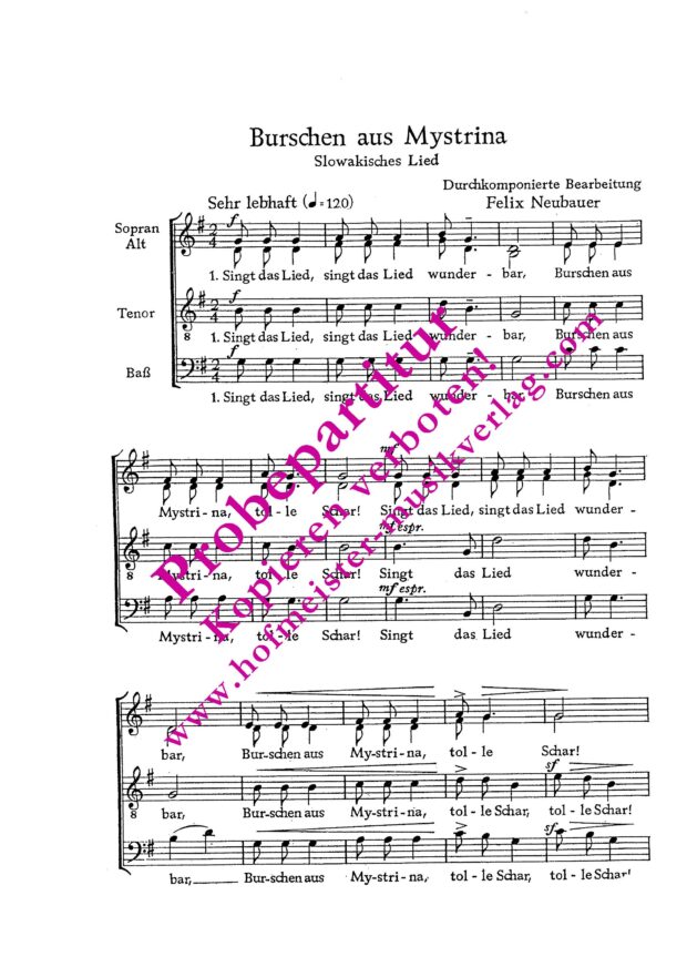 Burschen aus Mystina (Singt das Lied)