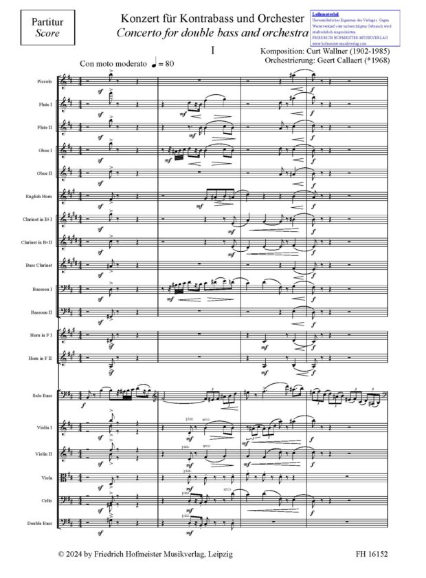 Konzert für Kontrabass und Orchester