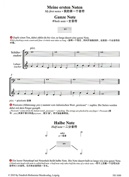 Playing Double Bass – Bild 2