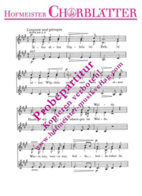 Wanderers Nachtlied (Über allen Gipfeln ist Ruh)