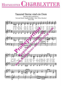 Tausend Sterne sind ein Dom