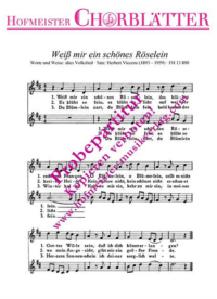 Weiß mir ein schönes Röselein
