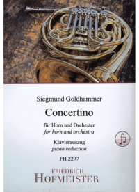 Concertino für Horn und Orchester /KlA