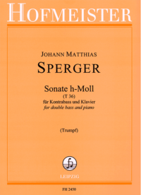 Sonate h-Moll (T36)
