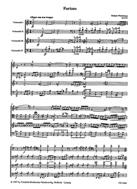 Furioso, op. 21,3 – Bild 2