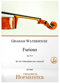 Furioso, op. 21,3