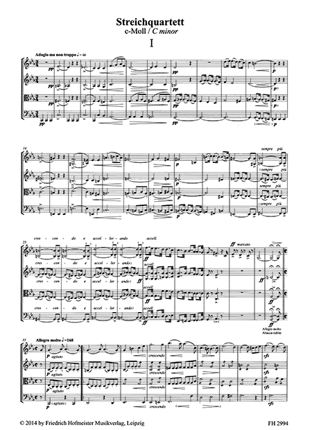 Streichquartett c-Moll – Bild 2