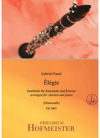 Elégie, op. 24