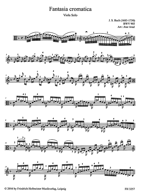 Fantasia cromatica – Bild 2