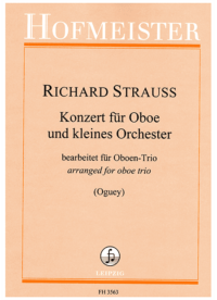 Konzert für Oboe und kleines Orchester D-Dur