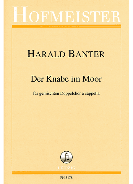 Der Knabe im Moor
