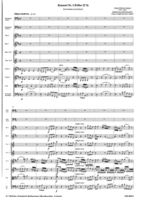 Konzert Nr. 1 für Kontrabass und Orchester