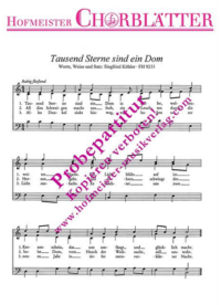 Tausend Sterne sind ein Dom