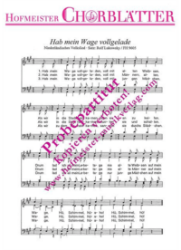 Hab mein Wage vollgelade