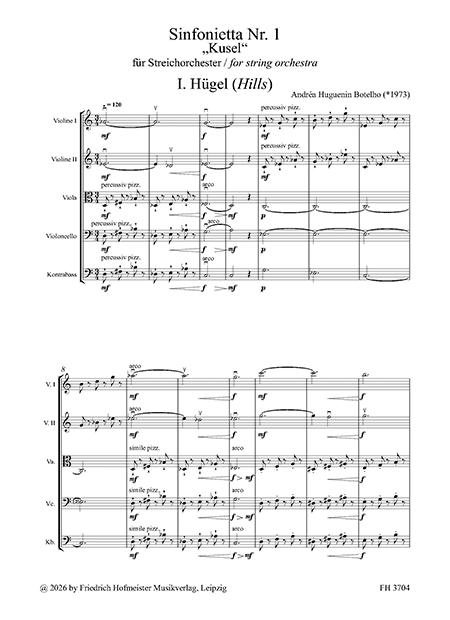 Sinfonietta Nr. 1 "Kusel" – Bild 2